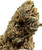 This image showcases a dense, trichome-laden nug of Ripkitty Black Truffle THCA Flower. The bud is bursting with an intricate array of frosty trichomes, which are highlighted against the deep green and purple hues of the flower. The nug is well-cured, with tightly curled sugar leaves, and the deep, earthy tones are apparent in its structure. This is the type of bud that commands respect—rich in detail and promise.