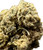This close-up shot highlights the densely packed trichomes on the surface of the "Ripkitty Black Truffle THCA Flower," giving it a frosty, almost crystalline appearance. The intricate network of tiny, resinous hairs suggests a high potency, with rich concentrations of cannabinoids and terpenes. The texture is rough, with the natural, earthy tones of the bud coming through.