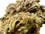A detailed look at the side of the Runtz OG flower, showcasing the rugged texture with a mix of light and dark green hues. The frosty coating is clearly visible, giving the bud a slightly sticky, resinous appearance.