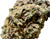 A close-up of the Ripkitty Runtz OG THCA Flower that showcases the intricate leaf structure and trichome density. This shot highlights the mix of textures with visible resin crystals that give the flower a sticky, potent appearance. The earthy green colors with hints of orange pistils indicate the freshness and high quality of the bud. The trichomes are layered thickly across the surface, making this a visually appealing strain that promises strong effects and a smooth, flavorful smoke.