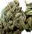 Two buds, one fistful of dankness. These babies are holding it down with that classic THCA power. You see those frosty leaves and dense clusters? That’s the good stuff that’ll have you floating. Ripkitty's got your back with this affordable yet ass-kicking flower.