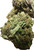 Ripkity Pink Panther Flower
