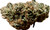 An up-close look reveals an intricate tapestry of fiery orange pistils weaving through deep forest-green buds. The shine off the trichomes gives it a shimmering, gem-like finish. This is top-shelf weed that doesn’t just look good—it screams “smoke me.” Sticky to the touch, this nug will clog your grinder faster than you can say "Big Apple Jack."