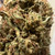 Close-up of Ripkitty's Sour Space Candy CBD Flower with intricate trichomes and a mix of green and orange hues.