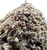 In this image, the Pink Panther flower shines with a thick, heavy resin layer over the rough and gritty bud structure. It’s got that distinct "sticky-icky" look you know is gonna bring those potent effects. Dark greens with slight amber hints make it look as dank as it smokes.