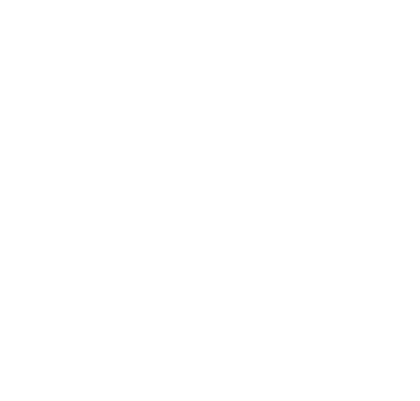 start icon