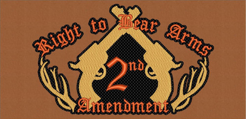 Right to Bear Arms, 2nd Amendment