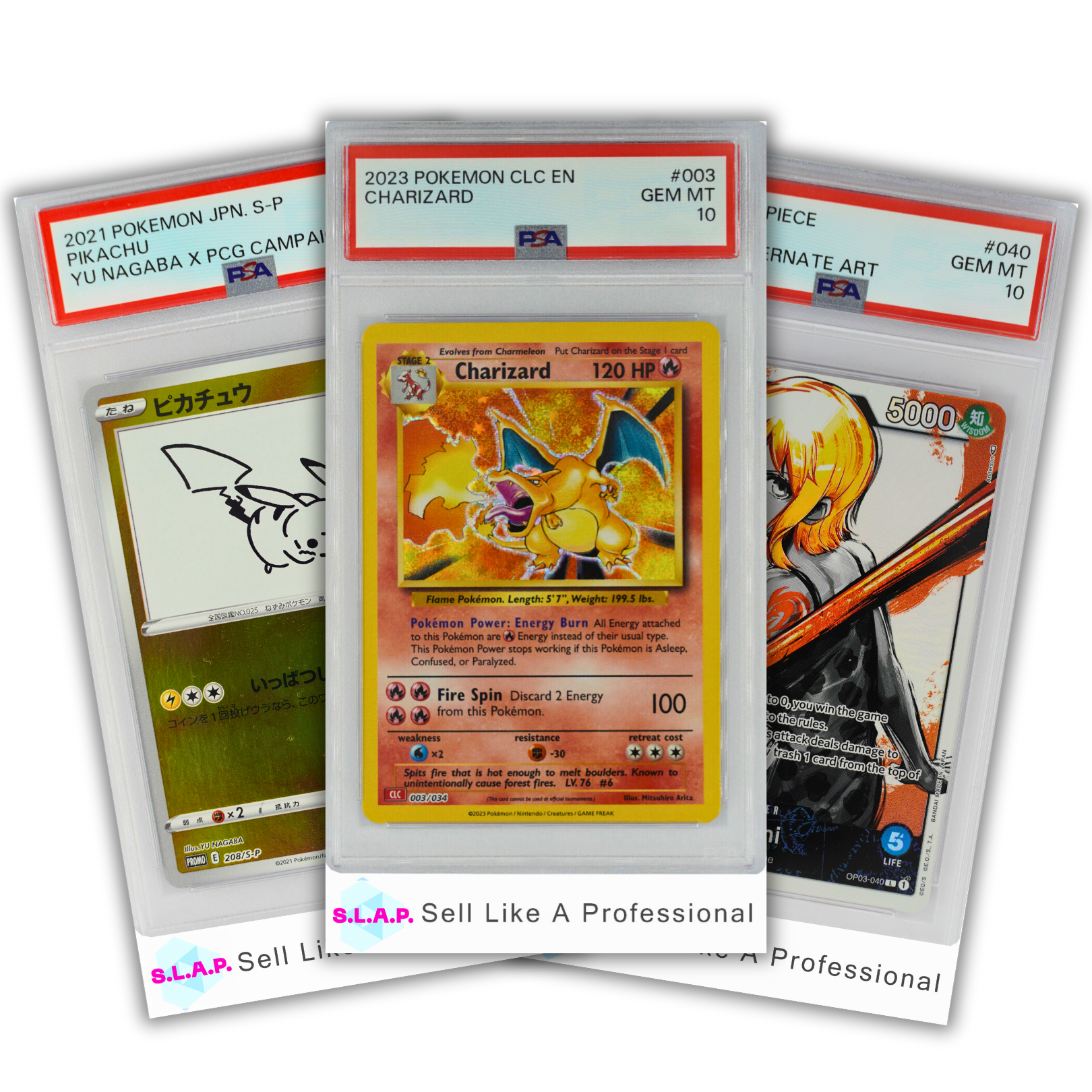 【時間指定不可】 PDP – S.L.A.P. ポケモンカードゲーム