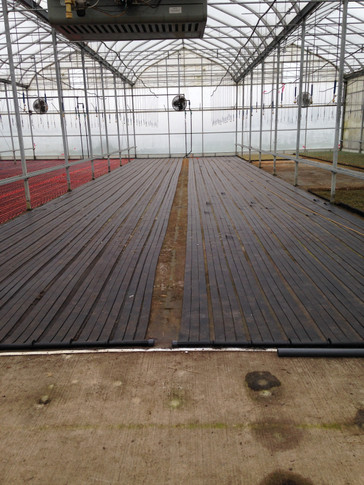 GreenHouse root heat system