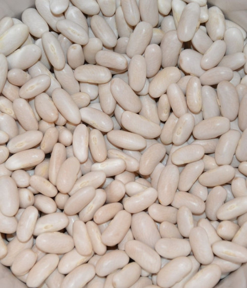 Fasola igołomska 0,5kg EKO