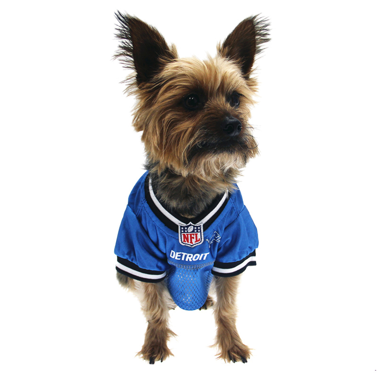 detroit lions pet jersey