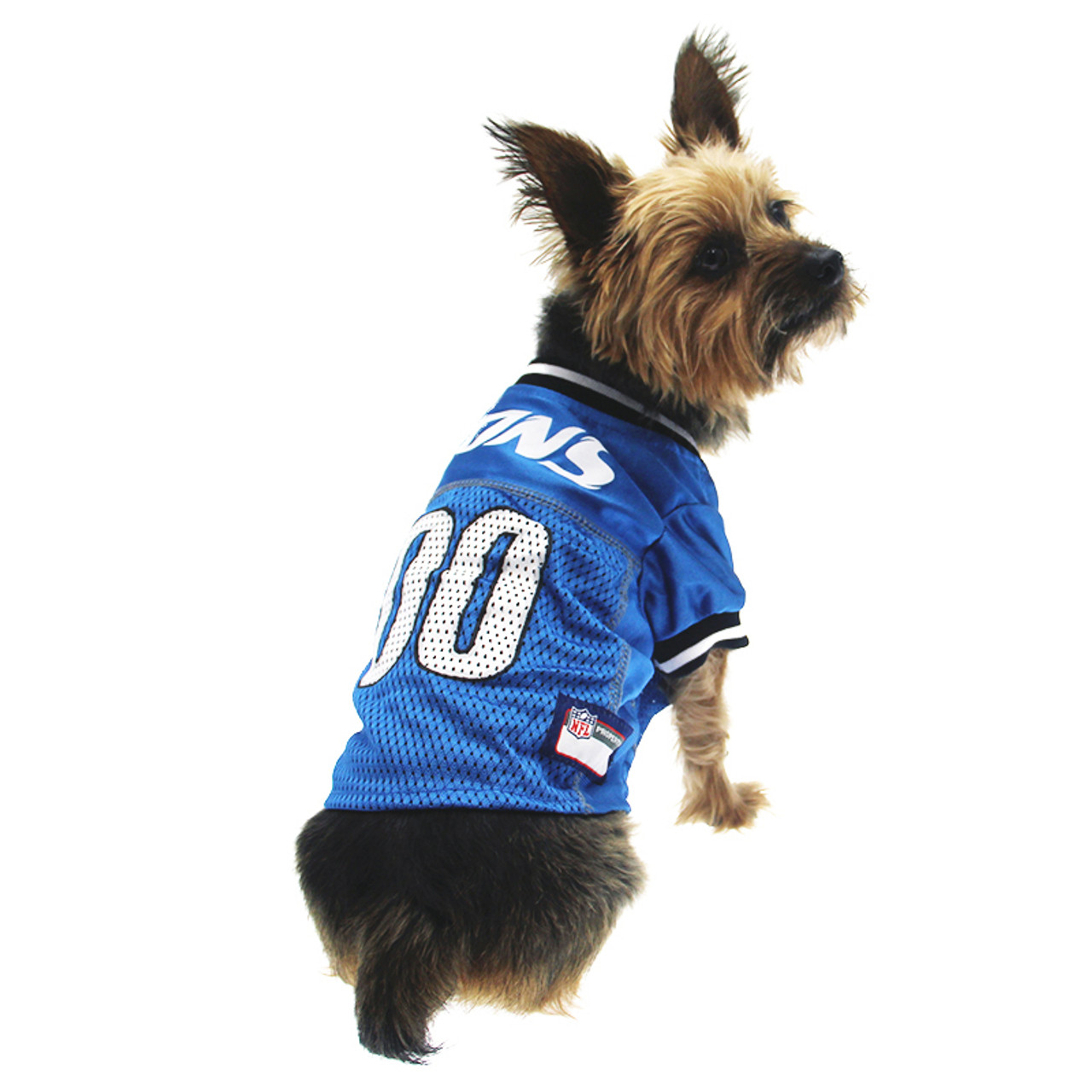 lions dog jersey