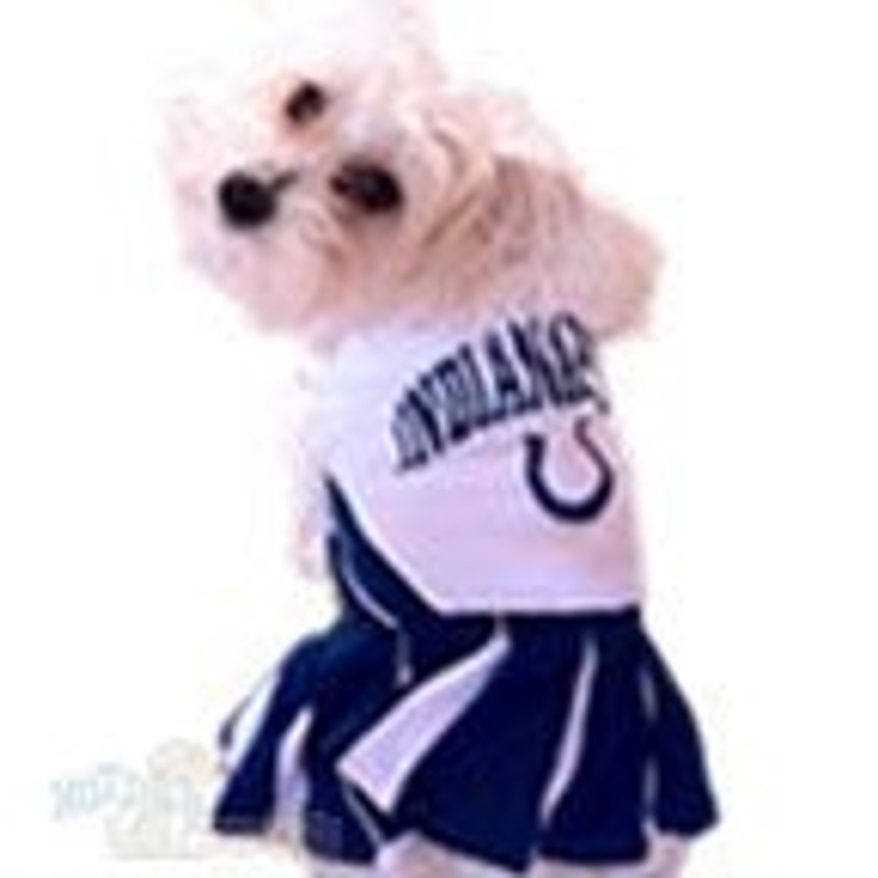 indianapolis colts dog jersey