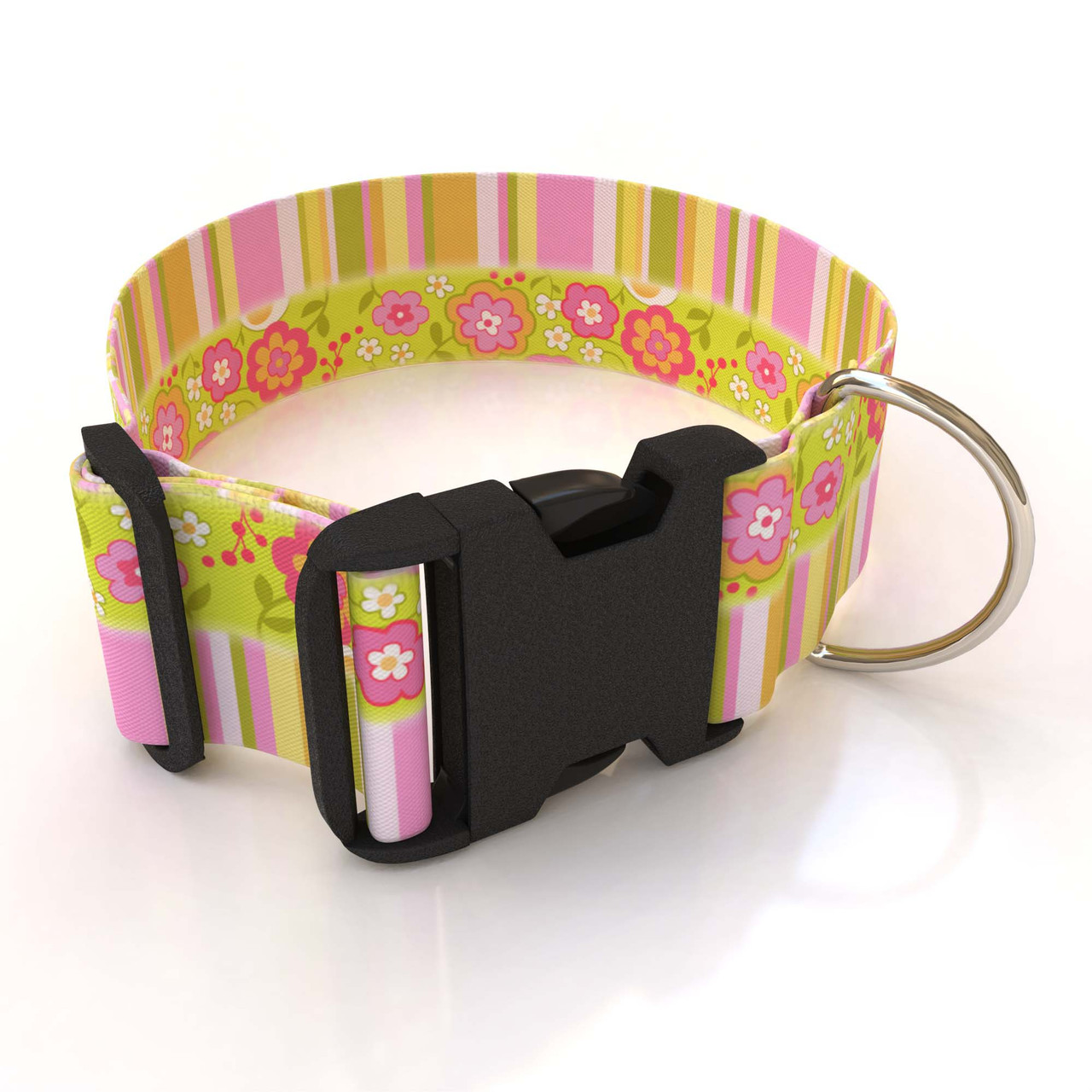 2 inch shop dog collar