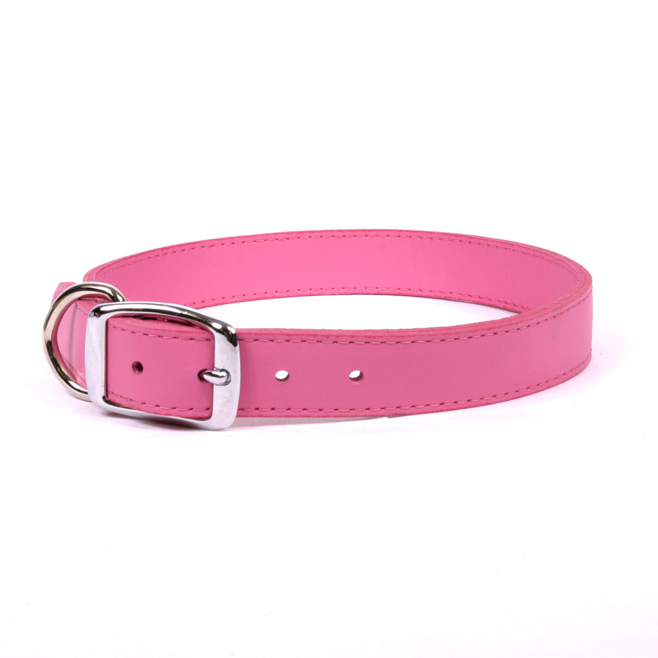 simple dog collar