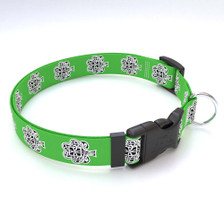 Petite Shamrock Dog Collar by Yellow Dog Design, Inc - Order Today