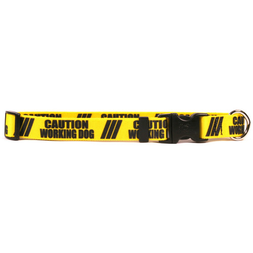 1 Inch - Caution Working Dog Dog Collar by Yellow Dog Design, Inc ...