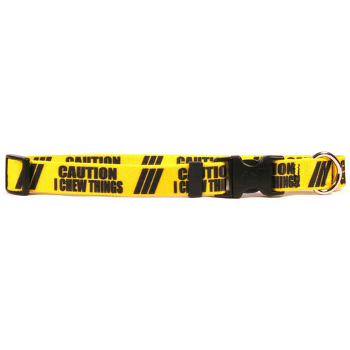 1 Inch - Caution I Chew On Things Dog Collar by Yellow Dog Design, Inc ...