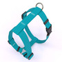 Solid Teal Roman Style "H" Dog Harness