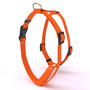 Solid Orange Roman Dog Harness