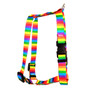 Rainbow Stripes Roman Style "H" Dog Harness