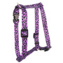 Leopard Purple Roman Style "H" Dog Harness