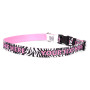 Zebra Print Personalized Dog Collar