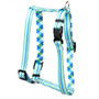 Blue and Green Stripes Roman Style "H" Dog Harness