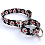 Daisy Martingale Dog Collar