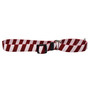 Team Spirit-White Stripes - Martingale Pet Collar