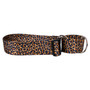 Leopard Skin 2" Wide Martingale Dog Collar