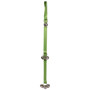 Solid Spring Green Ding Dog Bells Training System