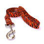 Zebra Rust Dog Leash