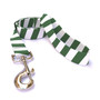 Team Spirit Green and White Dog Leash