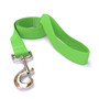 Solid Spring Green Dog Leash