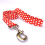 Red Polka Dot Dog Leash