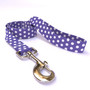 New Purple Polka Dot Dog Leash