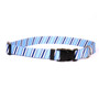 Team Spirit Lt. Blue, Dark Blue and White Dog Collar