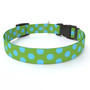 Green and Blue Polka Dot Dog Collar