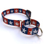 Colonial Stars Martingale Dog Collar