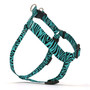 Zebra Print Teal Step-In Dog Harness