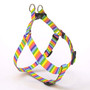 Rainbow Stripes Step-In Dog Harness