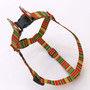Holiday Red and Green Stripes Step-In Dog Harness