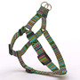 Festival Stripe Aztec Step-In Dog Harness