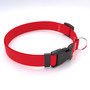 Simple Solids Dog Collar with Tag-A-Long