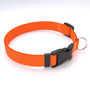 Simple Solids Dog Collar with Tag-A-Long