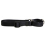 Simple Solids Martingale Dog Collar