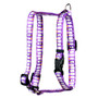 Ghost Party Roman Style "H" Dog Harness