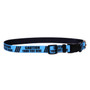 Personalized Caution BLUE Dog Collar