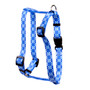 Hanukkah Stars Roman Style "H" Dog Harness